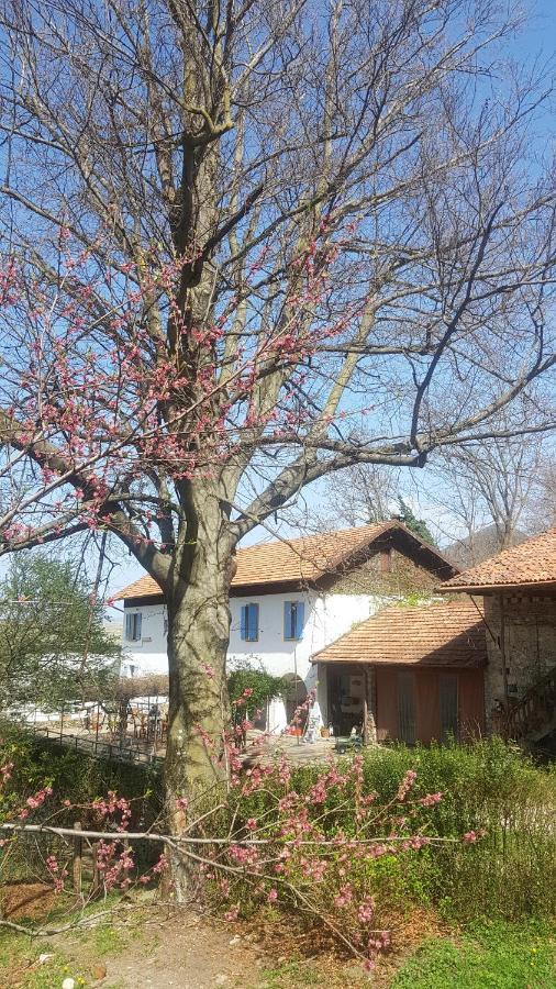 B&B Il Gatto Nero Castelveccana Экстерьер фото
