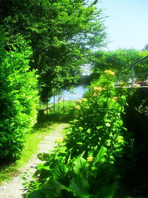 B&B Il Gatto Nero Castelveccana Экстерьер фото