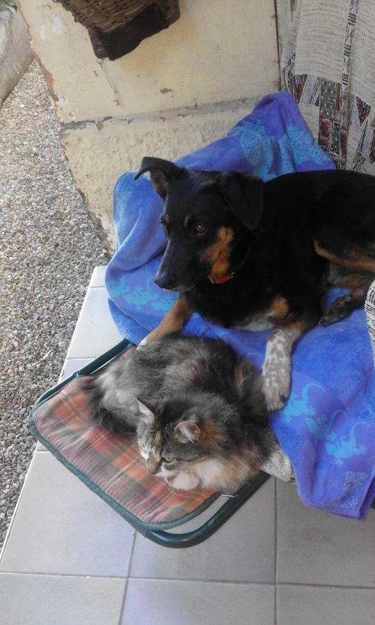 B&B Il Gatto Nero Castelveccana Экстерьер фото